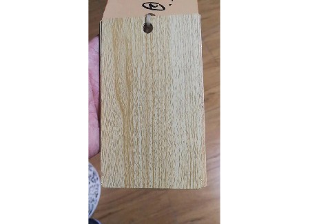 水转印粉末涂料 (6)